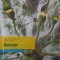 BIOLOGIE. MANUAL PENTRU CLASA A VII-A-ALEXANDRINA-DANA GRASU, JEANINA CIRSTOIU-266559