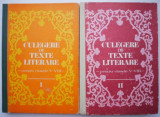 Culegere de texte literare pentru clasele V-VIII (2 volume) &ndash; Vasile Teodorescu