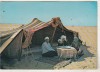 Bnk cp Algeria - cort de beduini in desert - uzata, Circulata, Printata, Etnografie