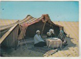 bnk cp Algeria - cort de beduini in desert - uzata