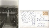 *Romania, Avrig, Pod suspendat peste Olt, carte postala ilustrata, circulata intern, 1068, Printata