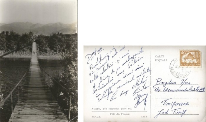 *Romania, Avrig, Pod suspendat peste Olt, carte postala ilustrata, circulata intern, 1068