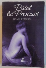 PATUL LUI PROCUST , de CAMIL PETRESCU , 2012 foto