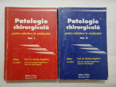 PATOLOGIE CHIRURGICALA ( 2 VOLUME ) - NICOLAE ANGELESCU foto