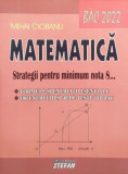 Matematică. Strategii pentru minimum nota 8 - Paperback - Mihai Ciobanu - Ştefan, Matematica