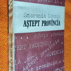 Astept provincia - Smaranda Cosmin