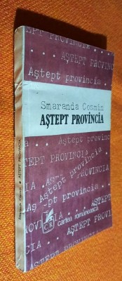 Astept provincia - Smaranda Cosmin foto