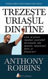 Trezeste uriasul din tine - Anthony Robbins