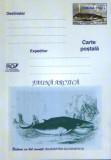 Intreg postal CP nec. 2003 - Fauna Arctica - Balena cu bot ascutit