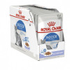 Royal Canin Indoor Sterilised In Jelly Pliculeț 12 x 85 g