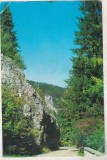 bnk cp Brasov - Pietrele lui Solomon , in drum spre Poiana - uzata