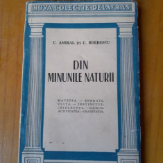 Din minunile naturii - C. Amiral (r) C. Boerescu