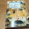 APA DIVINA si SIMBOLISTICA EI - Patricia Hidiroglou - Enciclopedic, 1997, 221p.