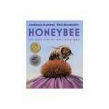 Honeybee: The Busy Life of APIs Mellifera