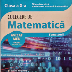 Culegere de matematica Filiera teoretica: mate-info, Clasa a X-a Sem.1