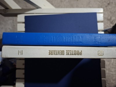 Proteze dentare-Ion Randasu foto