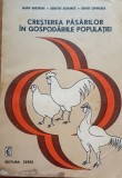 Cresterea pasarilor in gospodariile populatiei Marin Gheorghe