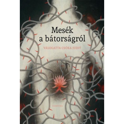 Mes&amp;eacute;k a b&amp;aacute;tors&amp;aacute;gr&amp;oacute;l foto