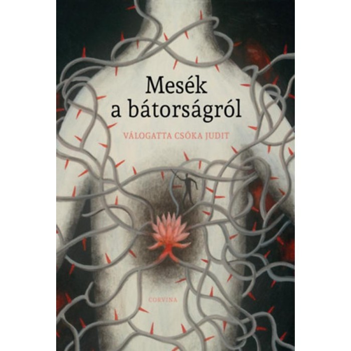 Mes&eacute;k a b&aacute;tors&aacute;gr&oacute;l