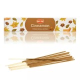 Cumpara ieftin Betisoare Parfumate Dreptunghi - Set 10 Buc - Cinnamon