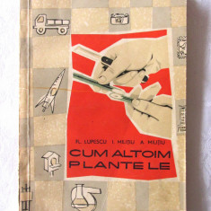 "CUM ALTOIM PLANTELE", Fl. Lupescu, I. Militiu, A. Militiu, 1962