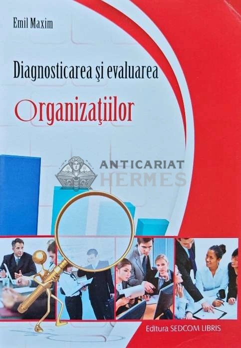 Diagnosticarea si evaluarea organizatiilor - 2010 - Emil Maxim (AE36)