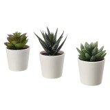 Set 3 plante artificiale pentru decorarea incaperilor, inaltime 12 cm, diametru ghiveci 6 cm, General