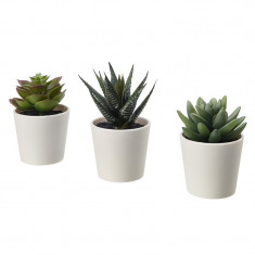 Set 3 plante artificiale pentru decorarea incaperilor, inaltime 12 cm, diametru ghiveci 6 cm