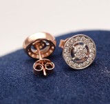 Cercei din argint Beautiful Round Roz cod ARG128A, Argintboutique