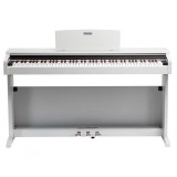 Pian Digital Pearl River F-12 WH ALB