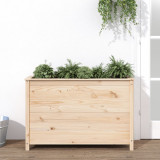 Strat &icirc;nălțat de grădină, 119,5x40x78 cm, lemn masiv de pin, vidaXL