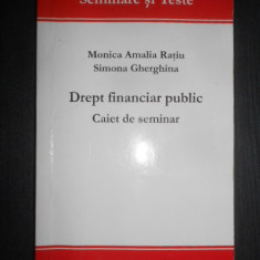 Monica Amalia Ratiu - Drept financiar public. Caiet de seminar