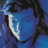 CD Bj&ouml;rk &ndash; Telegram (VG+), Rock