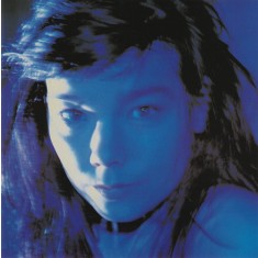 CD Bj&ouml;rk &ndash; Telegram (VG+)