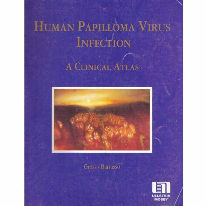 Gerd E. Gross, Renzo Barrasso - Human papilloma virus infection - a