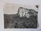 Fotografie dimensiune CP cu un peisaj montan