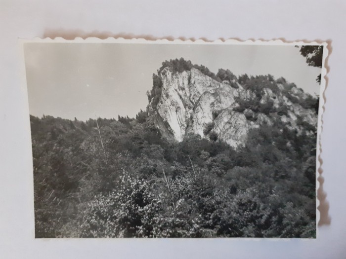 Fotografie dimensiune CP cu un peisaj montan