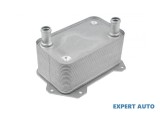 Radiator ulei Audi R8 (2007-2015) [422,423] #1, Array