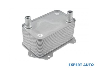Radiator racire ulei Audi R8 (2007-2015) [422,423] #1 foto