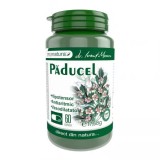 PADUCEL 60CPS, Medica