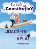 Ce este constitutia? Joaca-te si vei afla! - Alina Dumitrascu