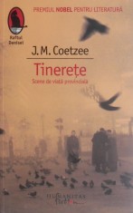 Tinerete - J. M. Coetzee foto