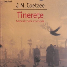 Tinerete - J. M. Coetzee
