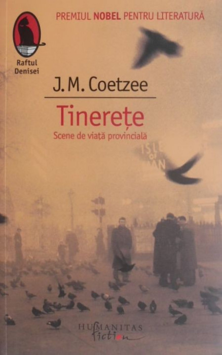 Tinerete - J. M. Coetzee