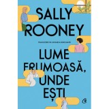 Cumpara ieftin Lume frumoasa, unde esti, Sally Rooney, Curtea Veche
