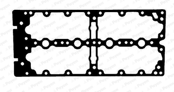 PAYEN JM7198 Garnitura, capac supape