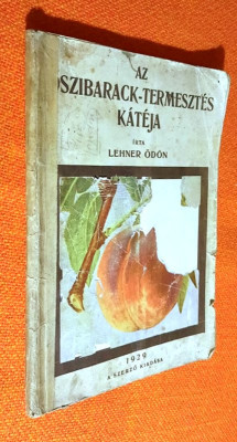 Az oszibarack- termesztes kateja - Lehner Odon 1929 A szerzo kiadasa foto