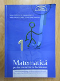 Marian Andronache - Matematica pentru examenul de bacalaureat M1