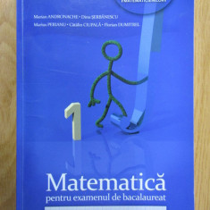 Marian Andronache - Matematica pentru examenul de bacalaureat M1