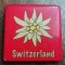 D4 - Magnet frigider - tematica turism - Elvetia 4
